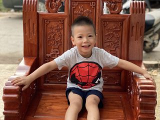 Bộ bàn ghế Âu Á chương voi tay đặc liền khối gỗ hương đá (Anh Quân, Ninh Bình)