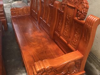 Đoản dài chương voi tay đặc