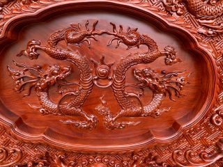 vách đoản đục lưỡng long