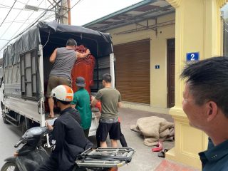 vận chuyển bàn ghế hoàng gia