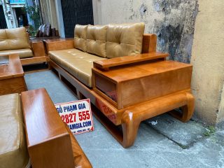 mẫu đoàn dài gỗ sồi Nga chân đùi gà