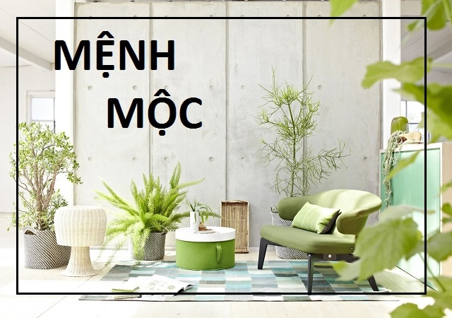 thiết kế nội thất cho người mệnh mộc