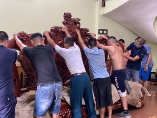 lắp ráp mẫu đoản minh quốc nghê 3 đầu